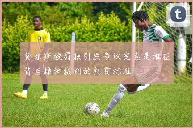 费尔斯被罚款引发争议究竟是谁在背后操控裁判的判罚标准